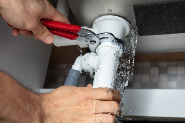 Best Flooded house restoration  in Five Points, FL