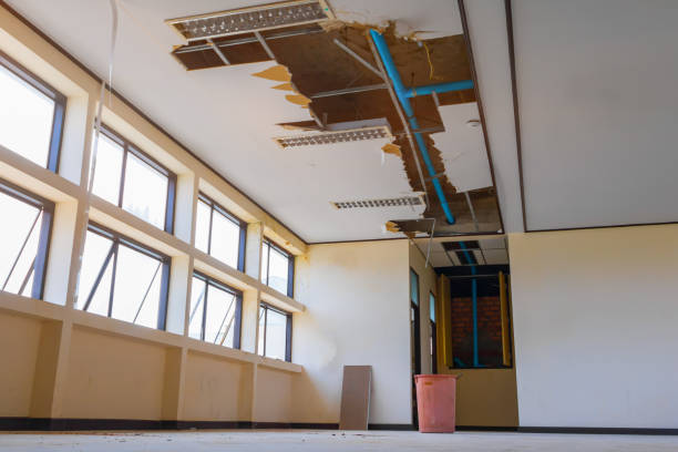 Best Water damage restoration services  in Five Points, FL