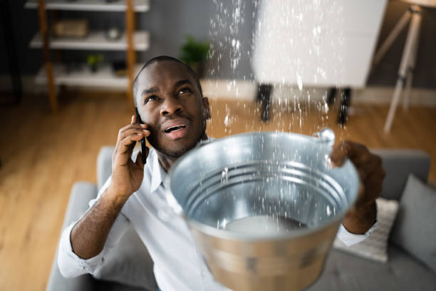 Best 24/7 water damage repair  in Five Points, FL