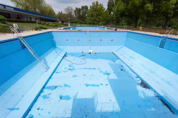 Best Flood restoration services  in Five Points, FL