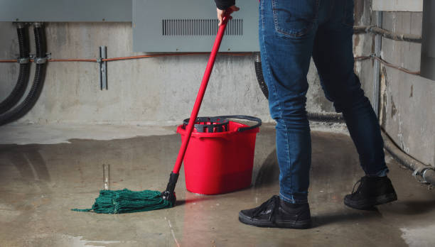 Best Mold removal after water damage  in Five Points, FL