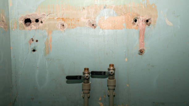 Best Flood restoration services  in Five Points, FL