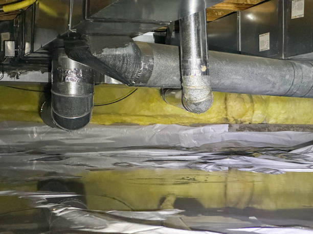 Best Water damage restoration near me  in Five Points, FL