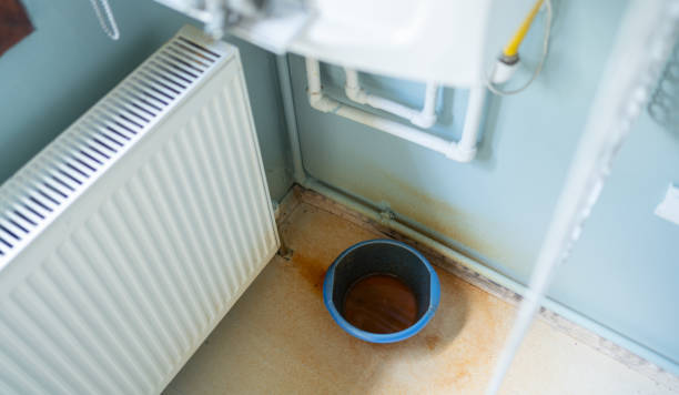Best Water damage cleanup near me  in Five Points, FL