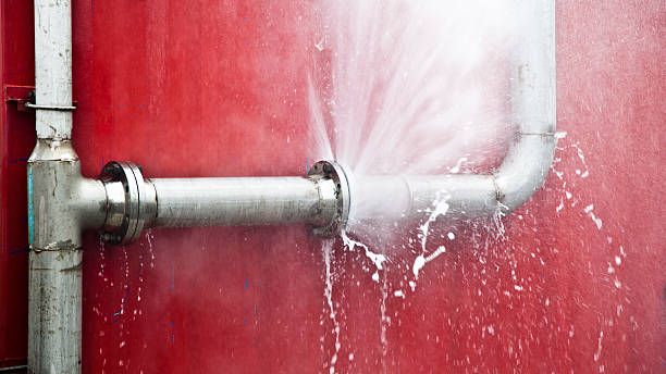 Best Flood damage cleanup  in Five Points, FL